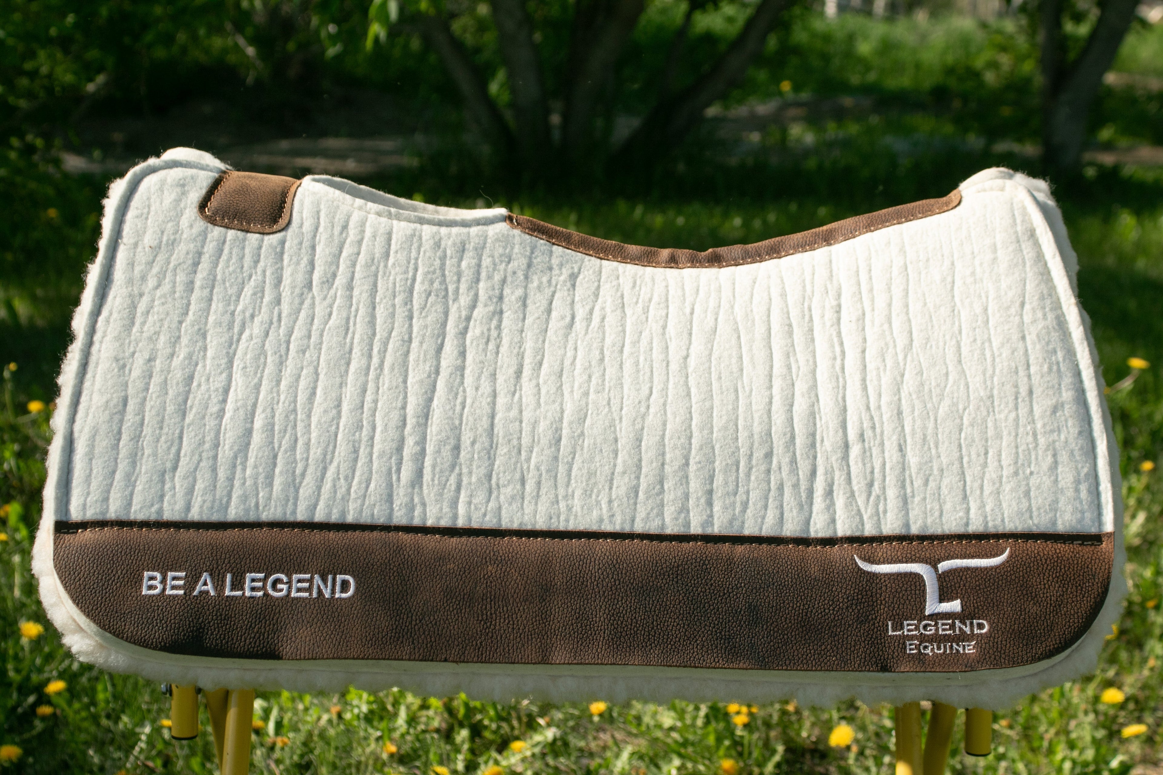 All Saddle Pads