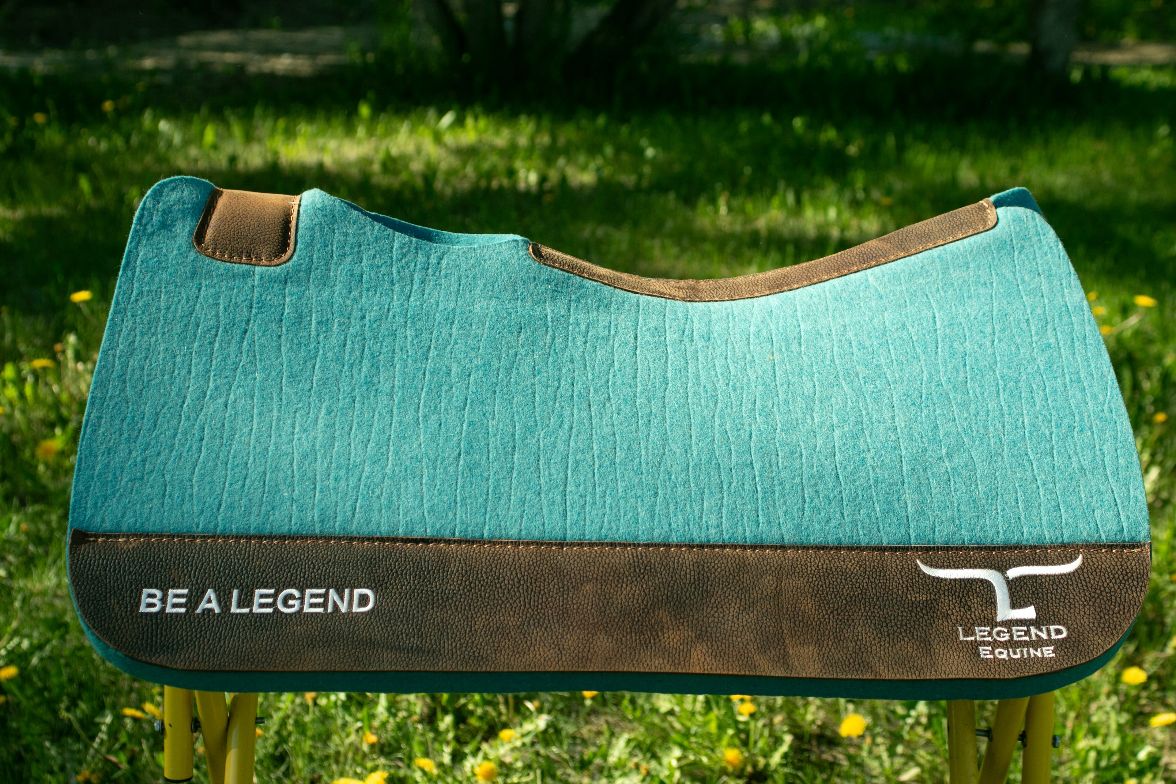 Turquoise and brown wear leathers saddle pad with 'Be a Legend' branding on grass