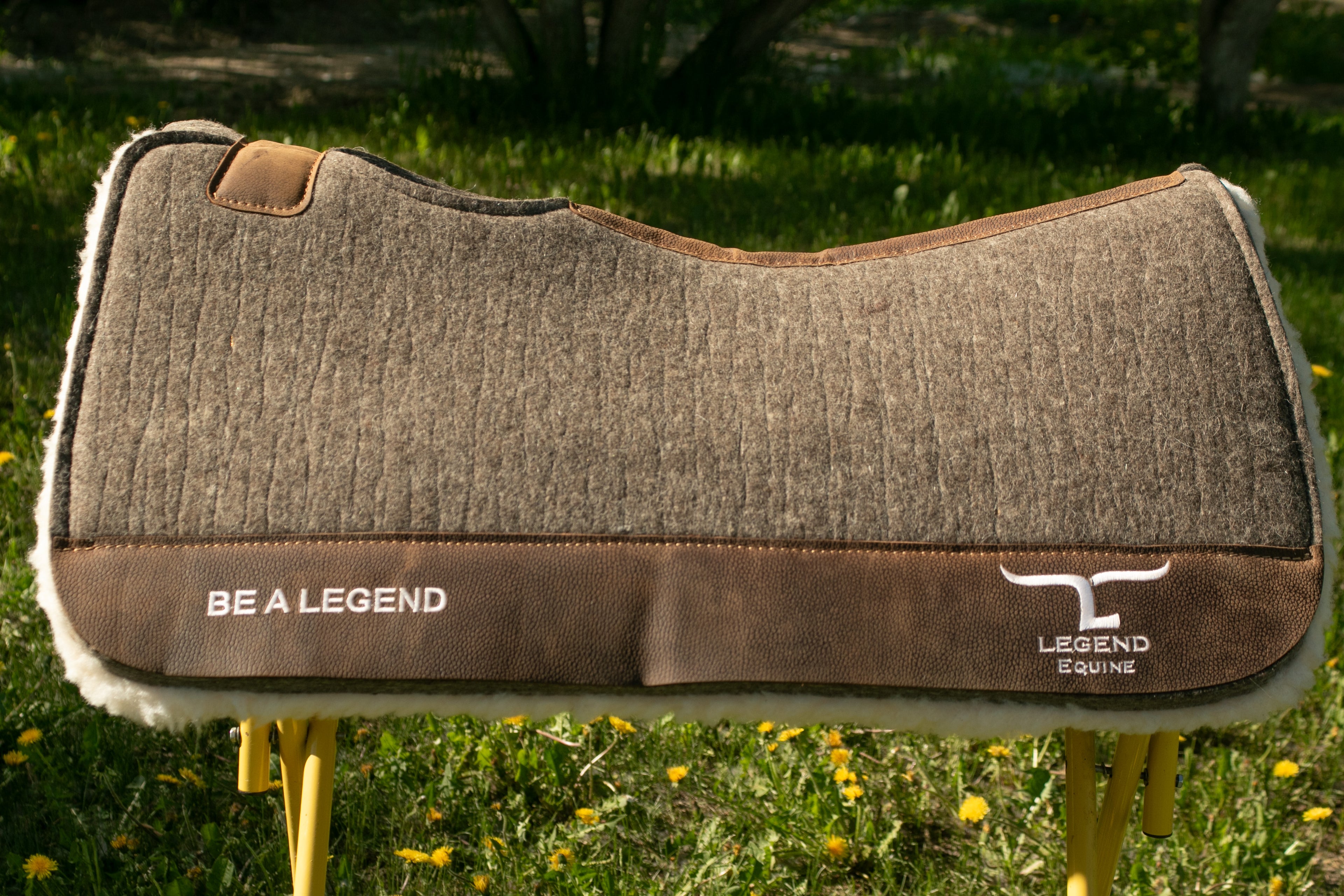Legend Equine All-Around Pads