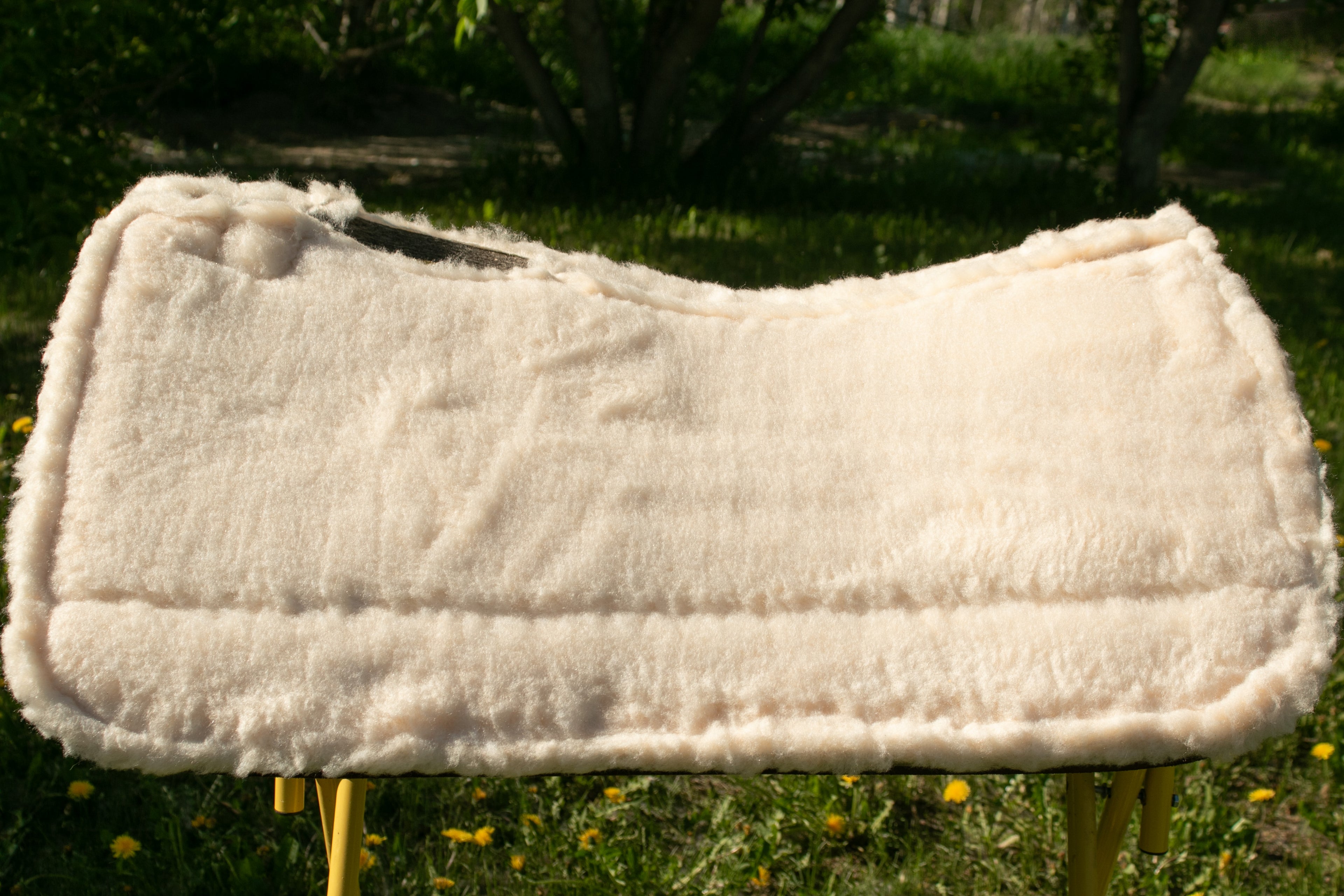 Legend Equine Roper Pads